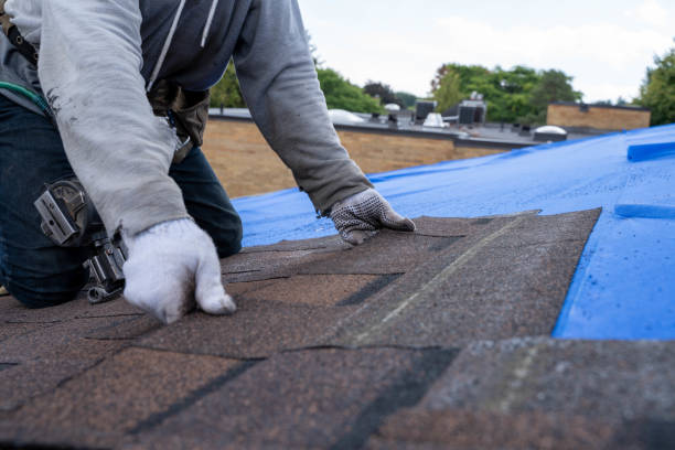Quick and Trustworthy Emergency Roof Repair Services in Mount Hermon, CA