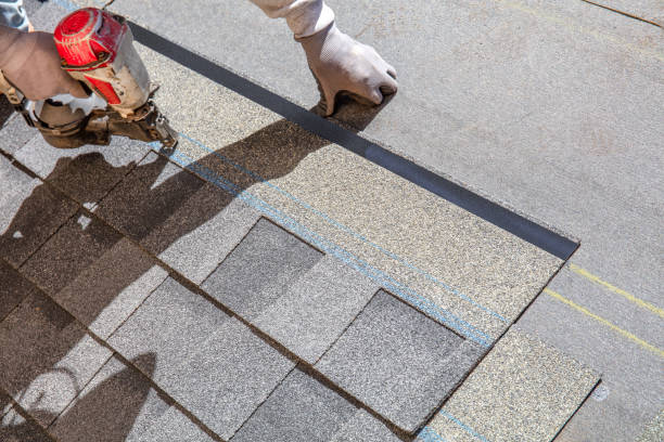 Best Roof Gutter Cleaning  in Mount Hermon, CA